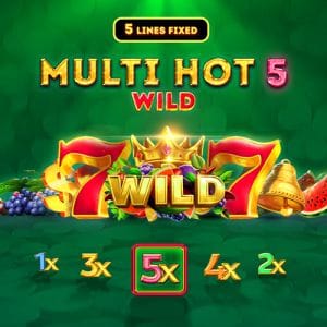 MultiHot5Wild game screenshot